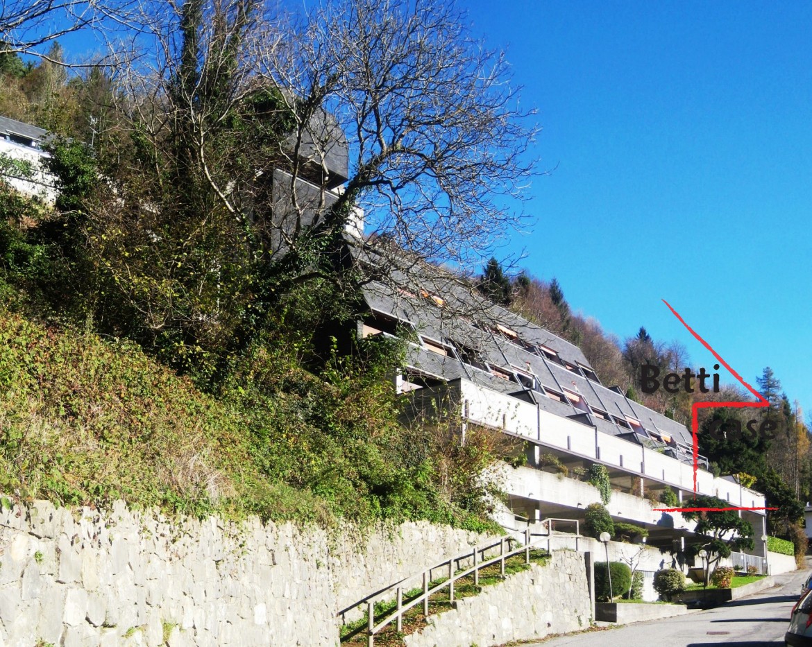 panorama-16n